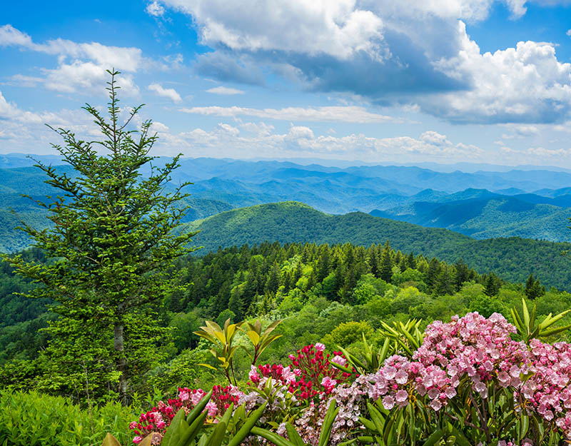 Explore The Smoky Mountains - Nature's Color Palette