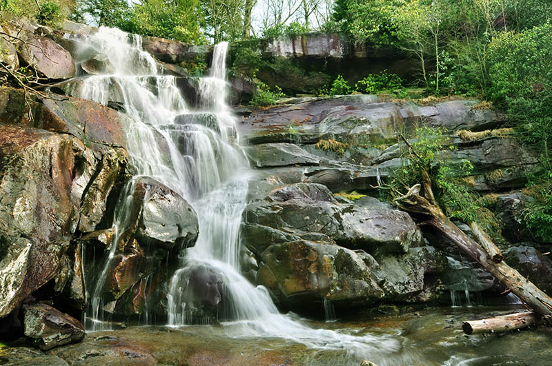 Explore The Smoky Mountains - Exploring Nearby Delights