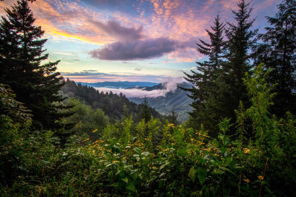 Explore The Smoky Mountains - Wears Valley, TN