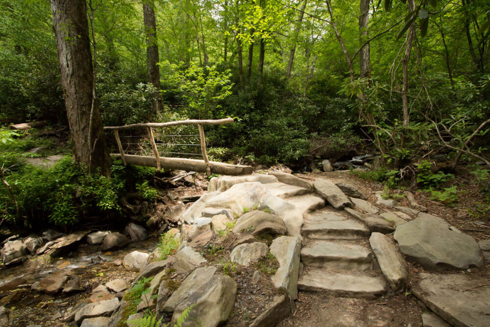 Explore The Smoky Mountains - Alum Cave Trail
