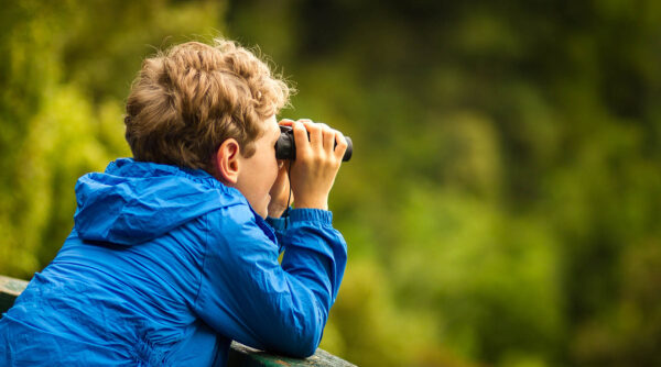 Explore The Smoky Mountains - Bird Watching in the Smoky Mountains: A Seasonal Guide