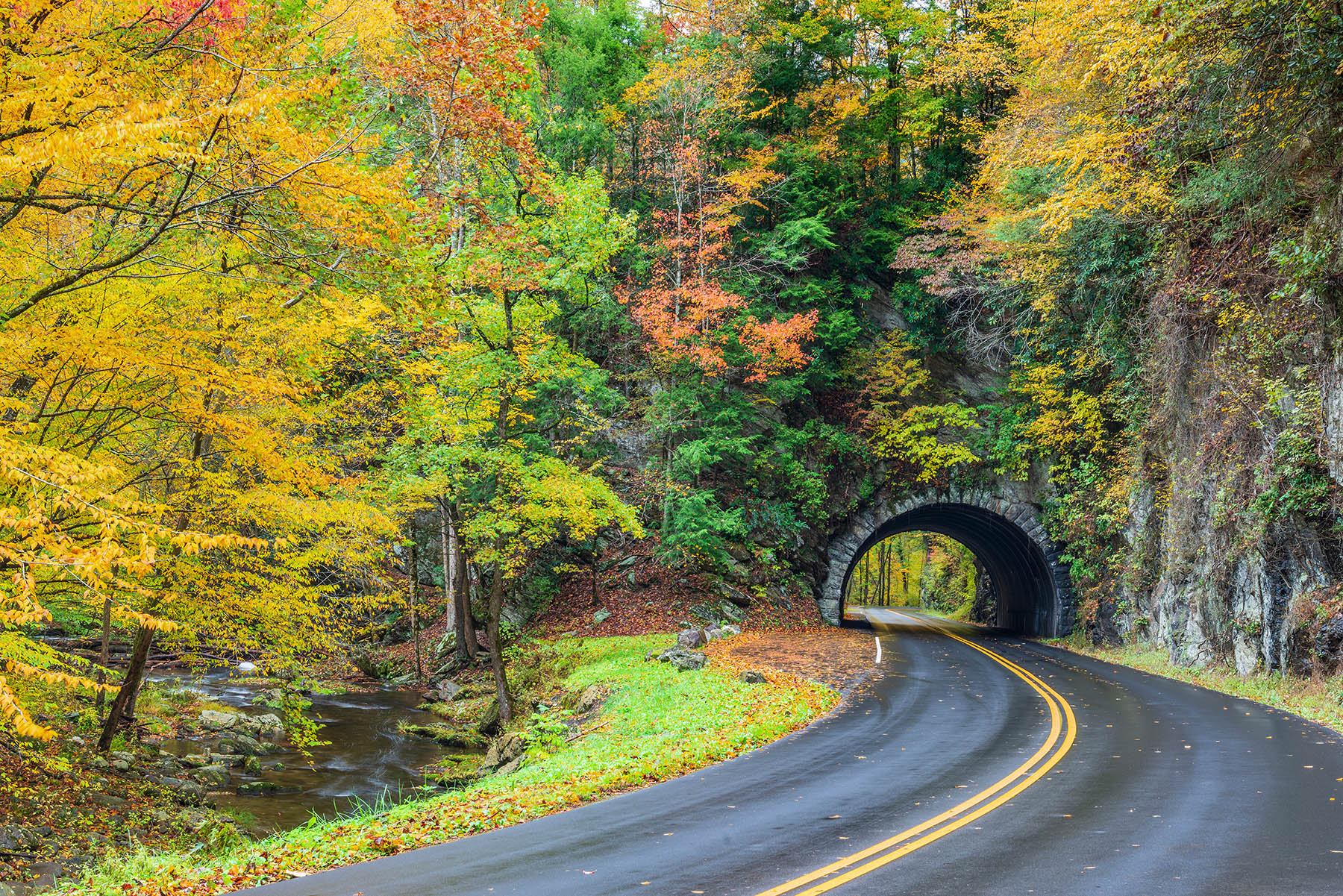Smoky Mountain Majesty: Scenic Drives for the Ultimate Road Trip