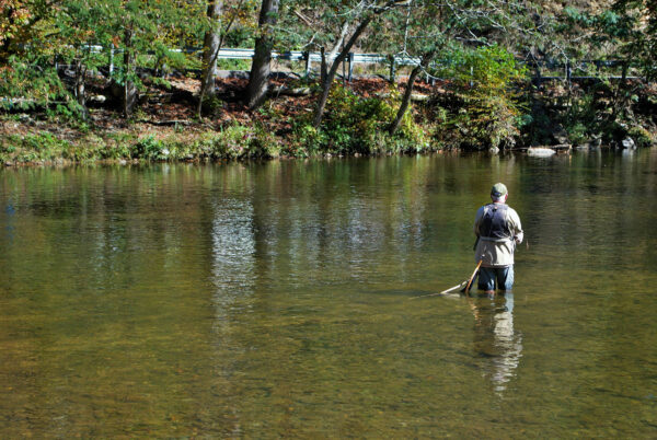 Explore The Smoky Mountains - The Angler’s Dream: A Comprehensive Guide to Fishing in the Smokies