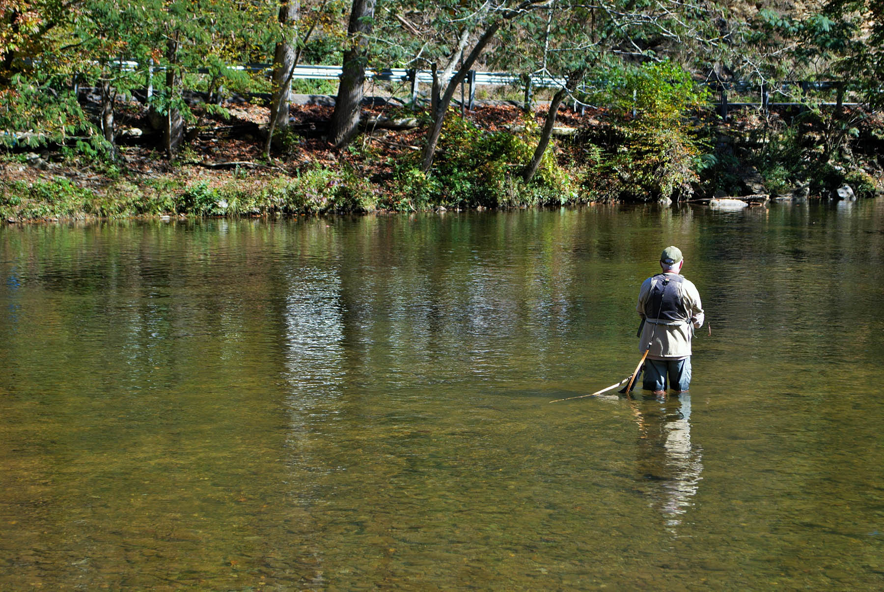 The Angler’s Dream: A Comprehensive Guide to Fishing in the Smokies