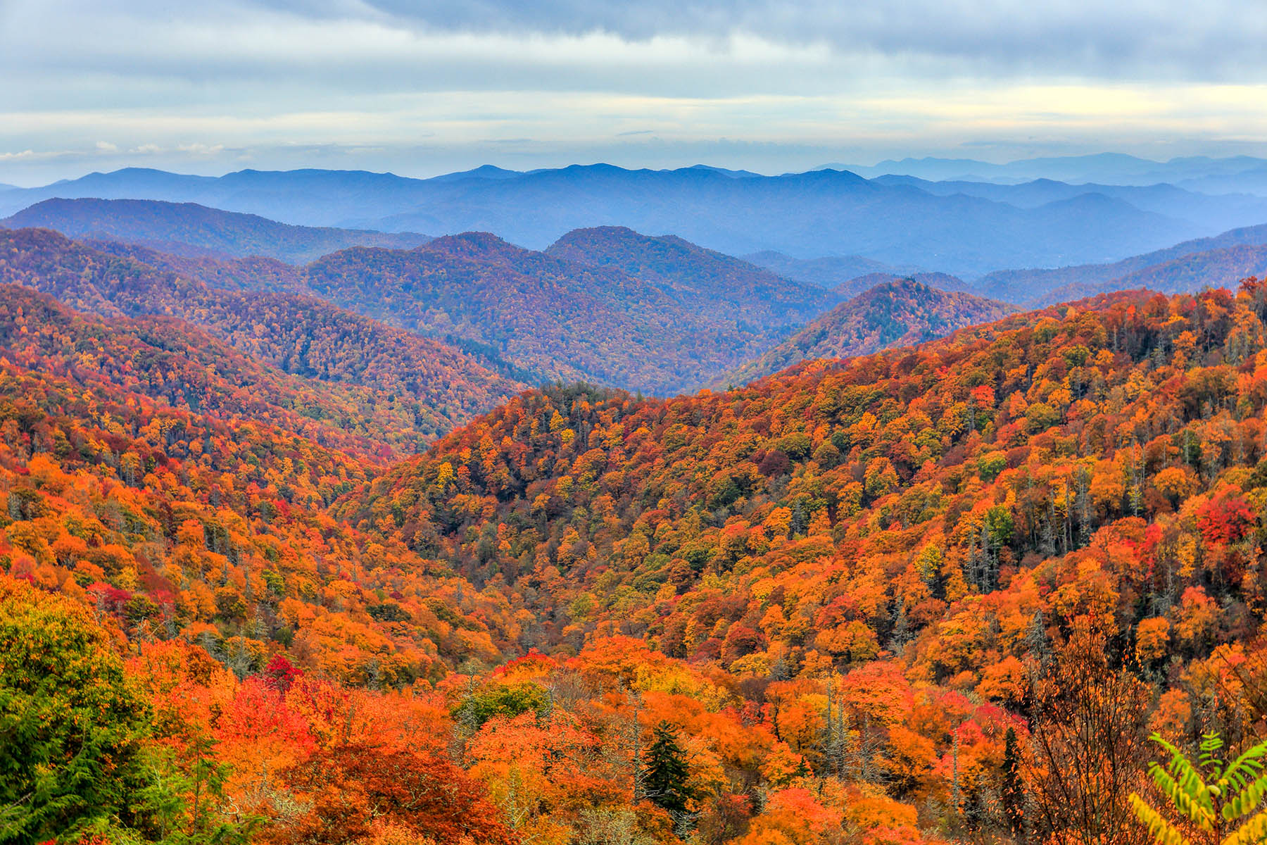 Unveiling the Beauty of Fall Foliage in the Smoky Mountains