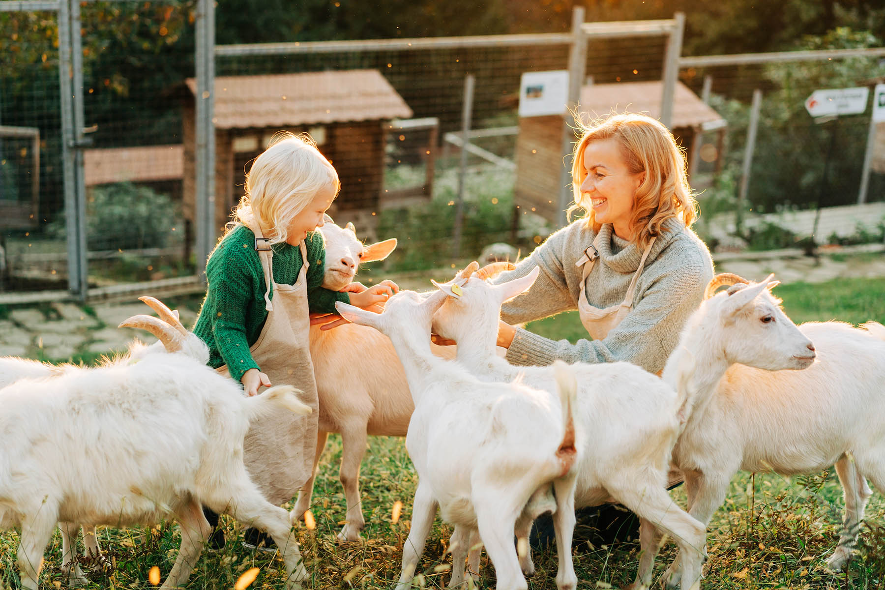 From Farms to Tables: Agritourism Experiences in the Smoky Mountains