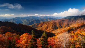 Discover Middle Prong Trail: One of the Smokies’ Most Scenic Hikes
