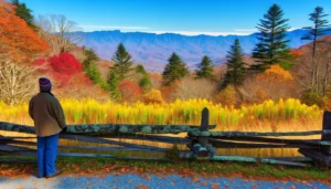 Best Smoky Mountain Travel Packages for Families and Couples
